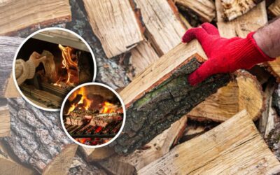 HOW TO CHOOSE WOOD FOR A BRAAI VS FOR AN INDOOR FURNACE